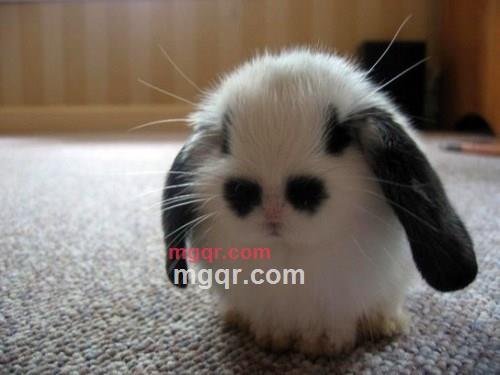 遇见---的第1张照片