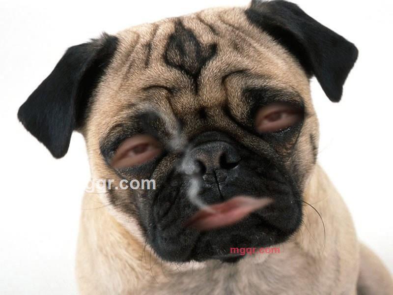 心如止水的第9张照片