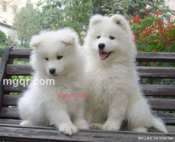 心如止水的第8张照片