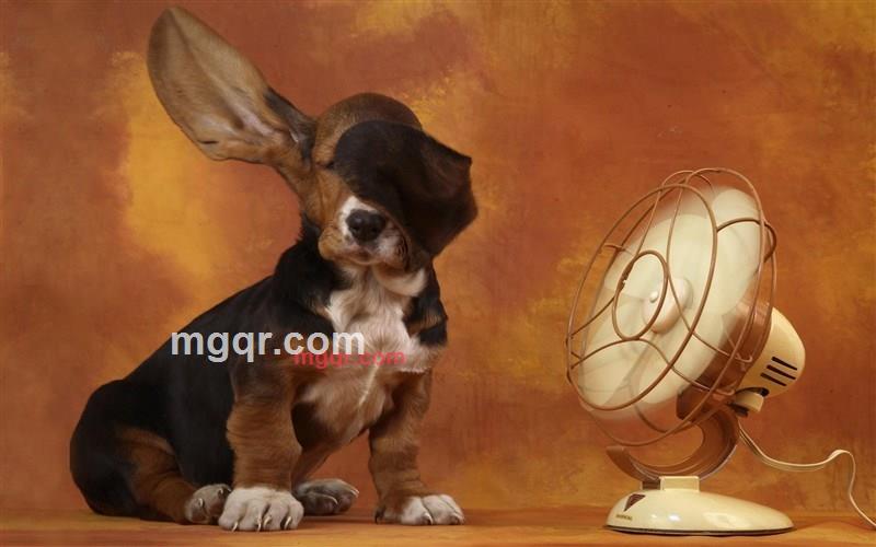 心如止水的第4张照片