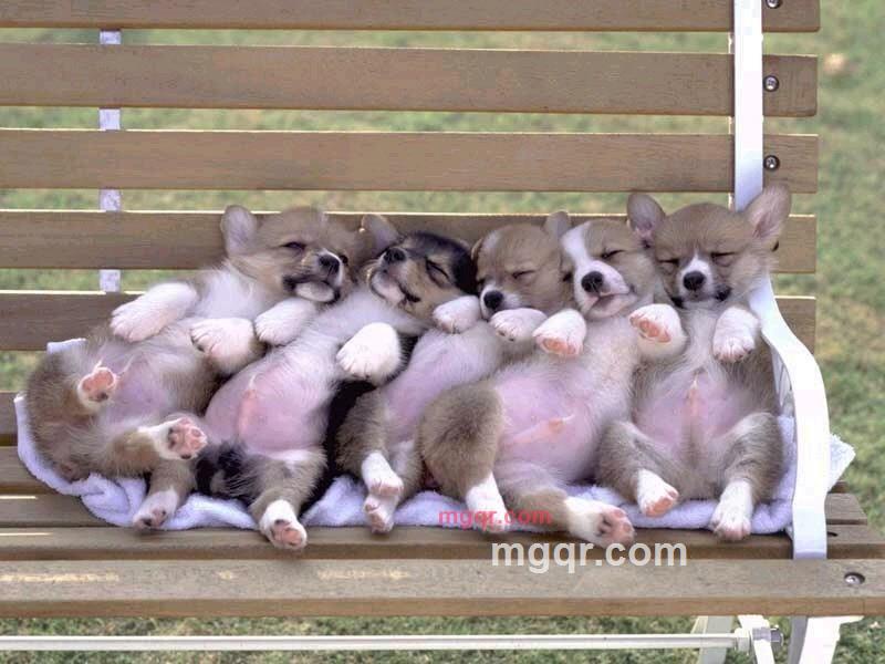 心如止水的第1张照片