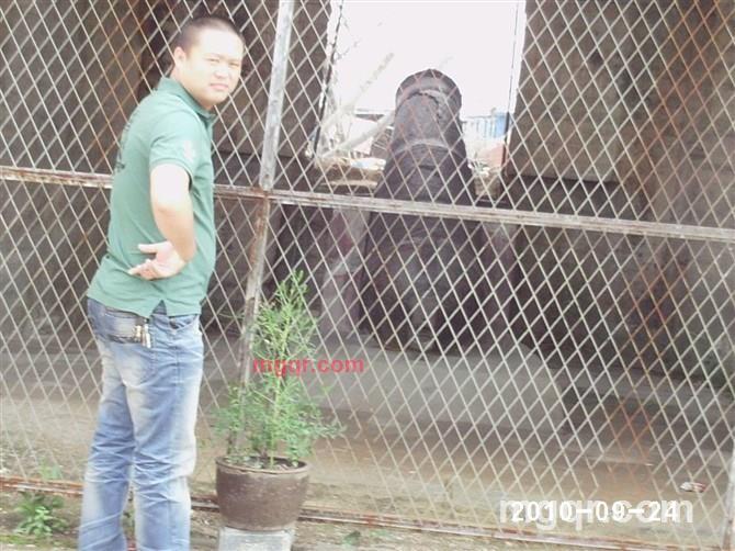 只为你等待的第1张照片