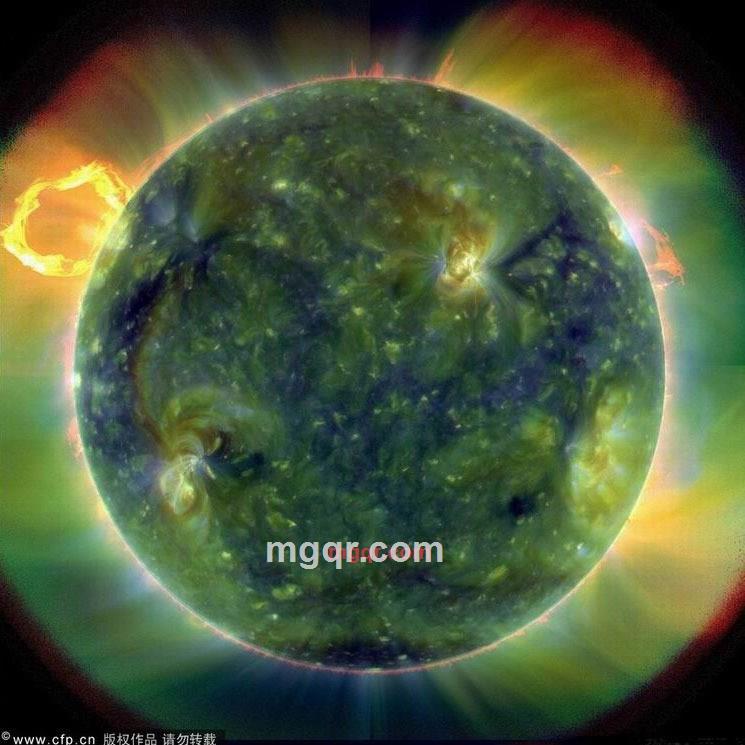 中华情的第2张照片