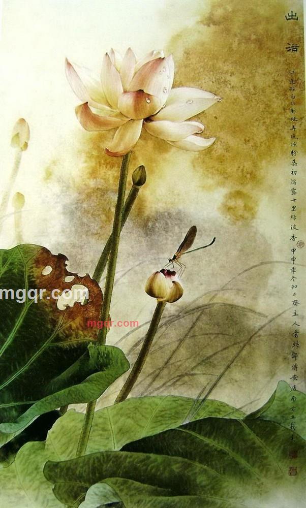 冬去春来的第1张照片