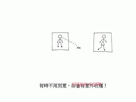 夜虫的第3张照片