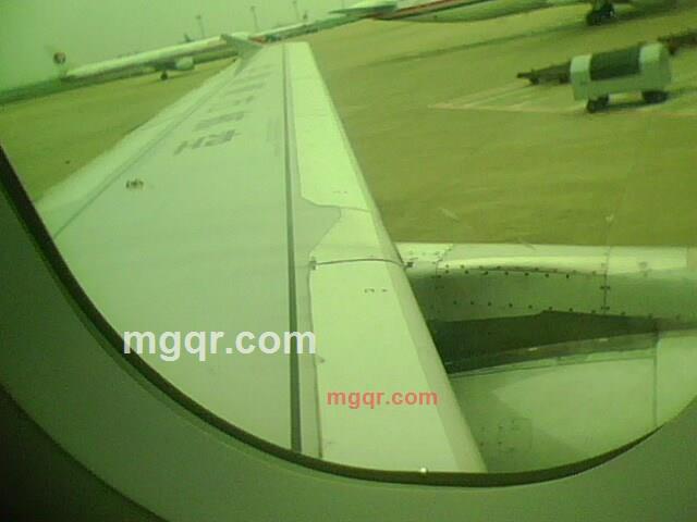 奉天力哥的第1张照片