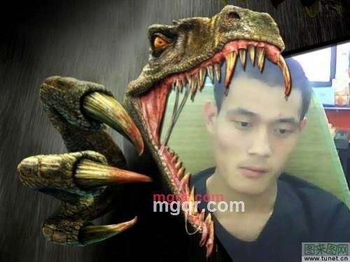 WGH爱你一生的第4张照片