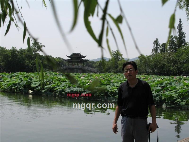 冬青草的第1张照片