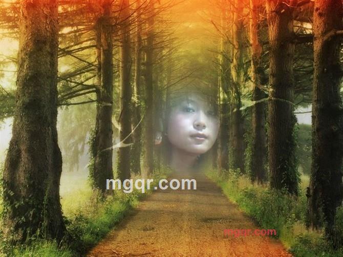 玫瑰之约雪的第9张照片