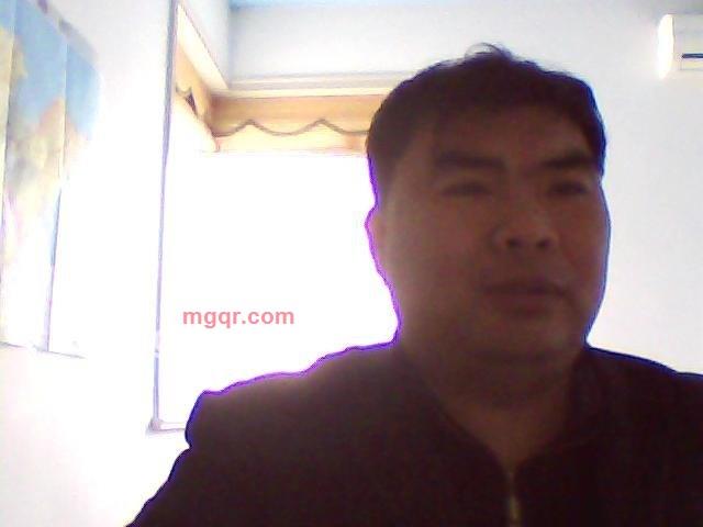 自由的风车2010的第1张照片