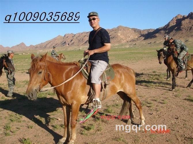 开心乐呵的第2张照片