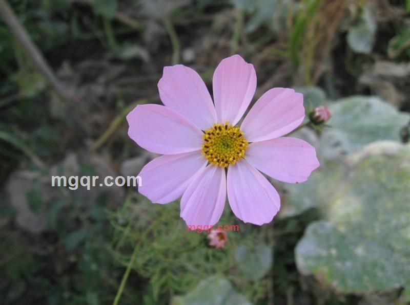 懂你你知道吗的第1张照片