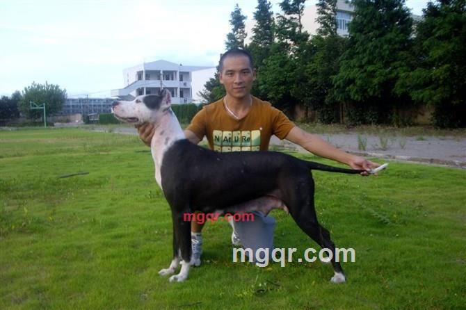 其实你并不孤单的第36张照片