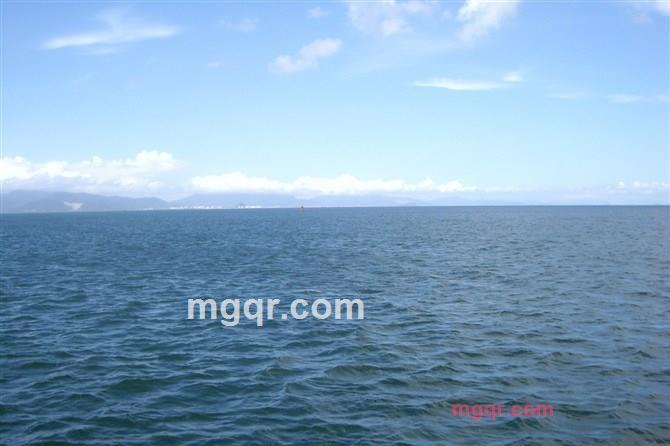 其实你并不孤单的第35张照片