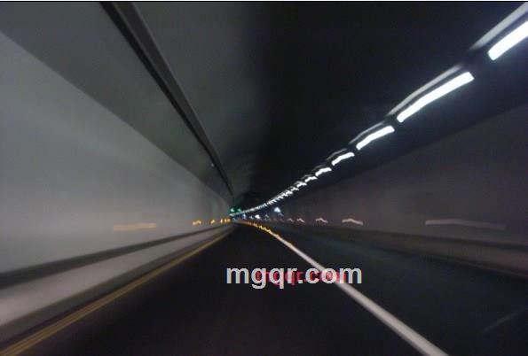 其实你并不孤单的第25张照片