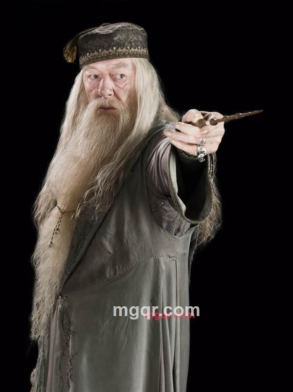 大龙007的第1张照片