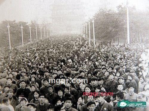 冬风不残的第2张照片