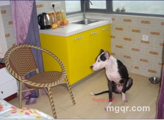 其实你并不孤单的第24张照片