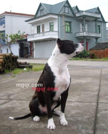 其实你并不孤单的第23张照片