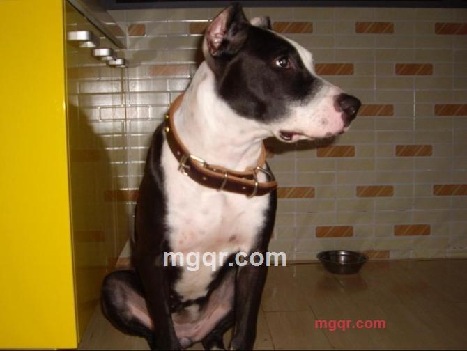 其实你并不孤单的第20张照片