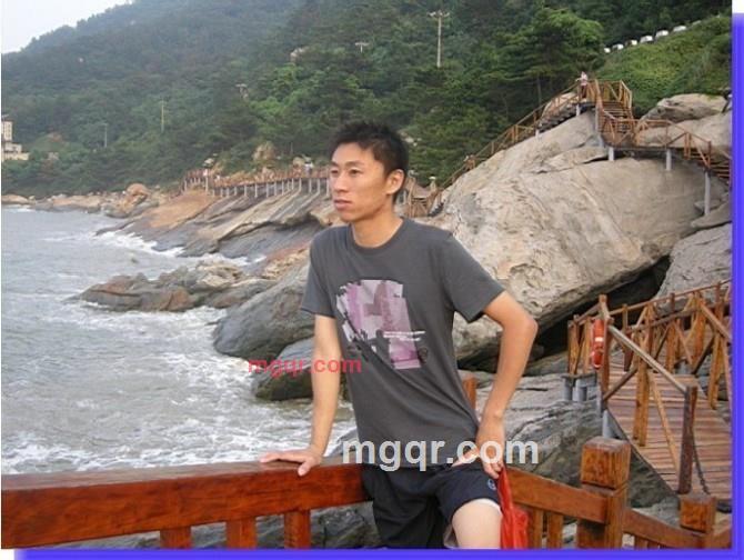 狼的个性的第1张照片