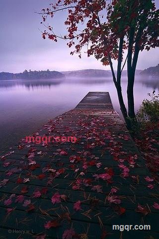 伈隨☆感覺的第2张照片