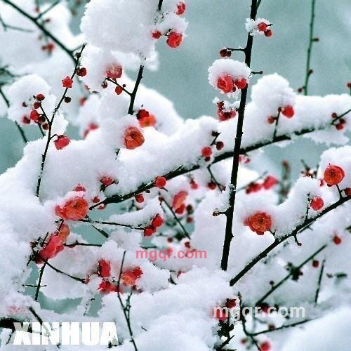 wuyumm的第4张照片