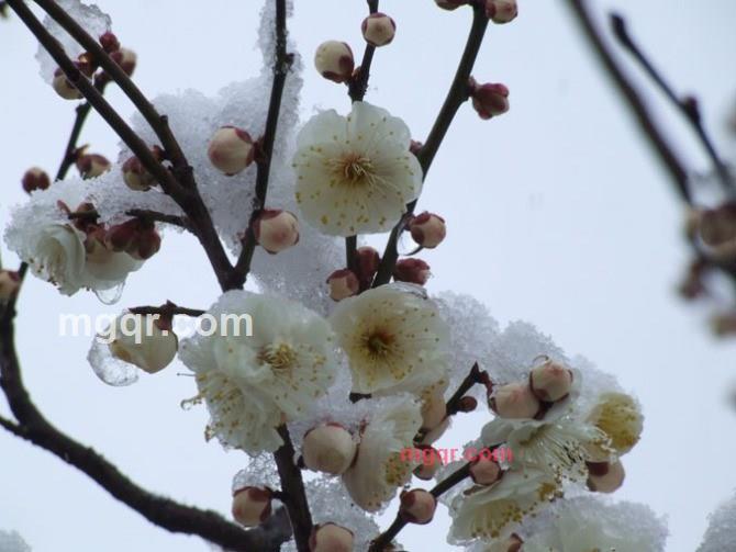 wuyumm的第1张照片