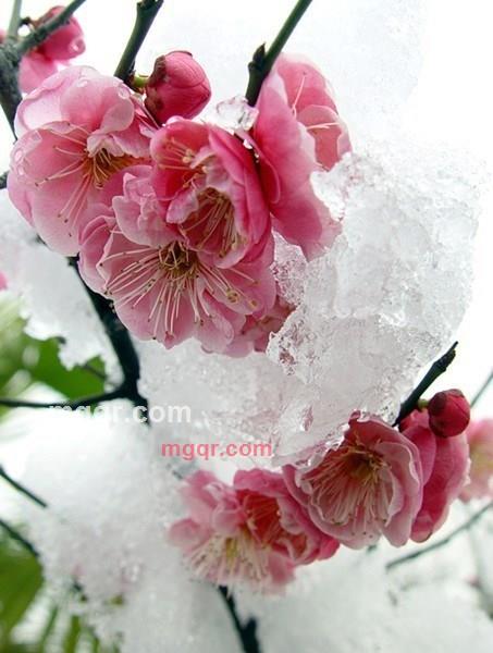 wuyumm的第2张照片