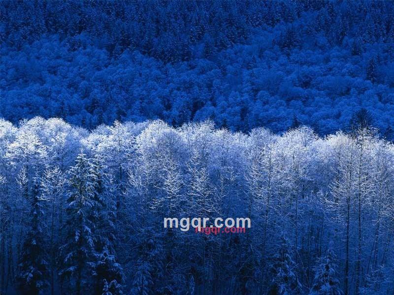 bscheng的第1张照片