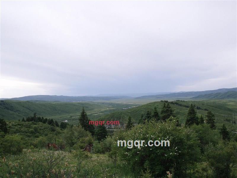 花心是什么心的第1张照片