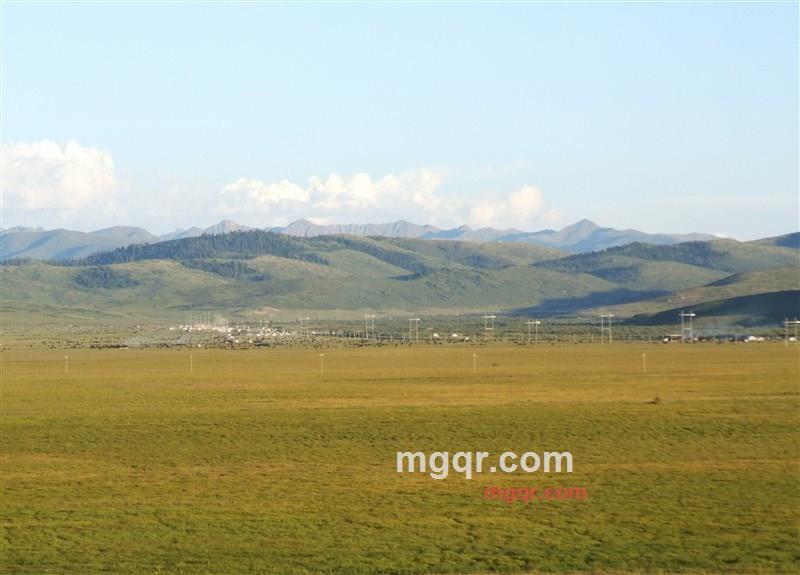 花心是什么心的第2张照片