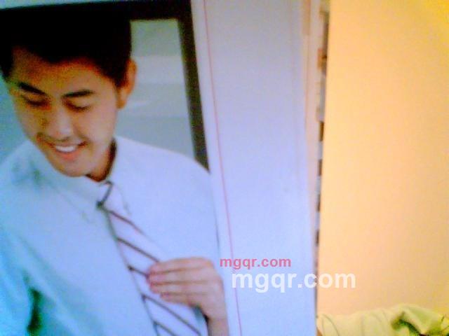 雅猫的第1张照片