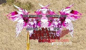 山东男寻女的第4张照片