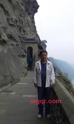 屋同树的第6张照片