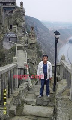 屋同树的第4张照片