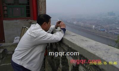 屋同树的第5张照片