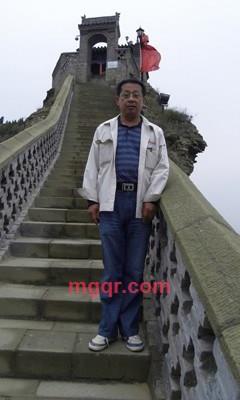 屋同树的第3张照片