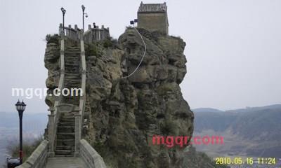 屋同树的第2张照片