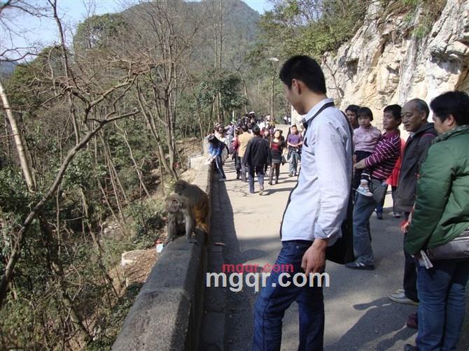 小朋的第1张照片