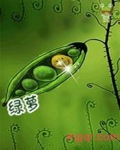 王丽丽的第1张照片