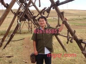 远离喧闹的第1张照片