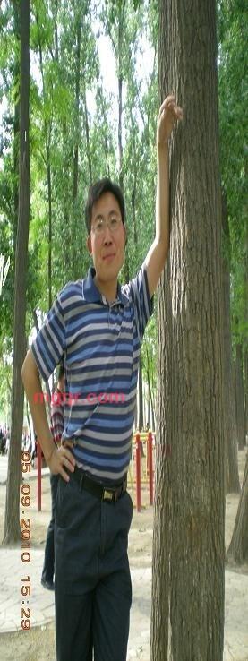 夜来客的第2张照片