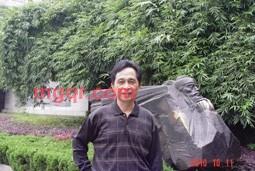 lggg的第1张照片