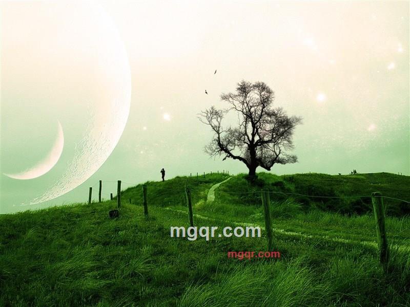 天★涯的第14张照片