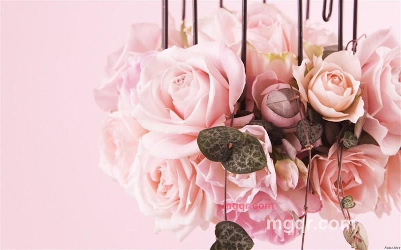 天★涯的第7张照片