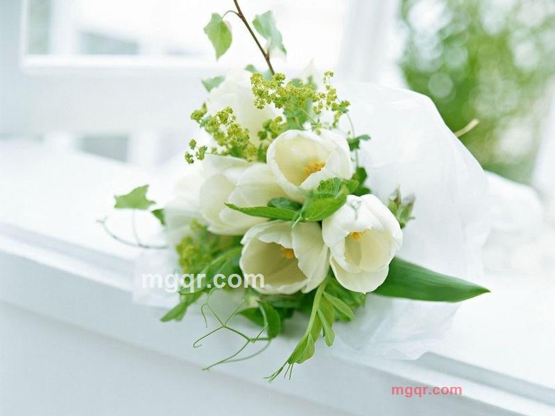 天★涯的第4张照片