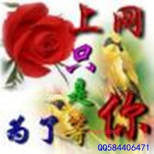 有心使者的第1张照片