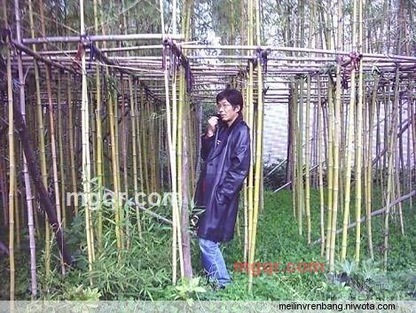 jinza_123的第17张照片