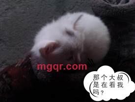 青春无敌羙少女的第1张照片